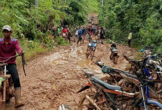 Kepastian Jalan Tanjung Aur Menunggu Kepastian BPJN Bengkulu, Intip Informasi Terbarunya! 