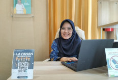 2024 Kemiskinan Kabupaten Kaur Turun Segini, Bagaiman Lapangan Kerja? Cek Penjelasan Ini 