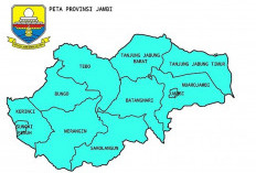 Pamit Angkat Kaki dari Jambi, 6 Kabupaten dan Kota Dikabarkan Bentuk Provinsi Baru, Simak di Sini Kendalanya