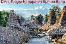 Desa Wisata Terbaik di NTT, Yuk Lihat   Keunikan Rumah Adat Sumba di Desa Tebara