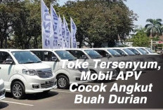 Toke Tersenyum, Mobil APV Cocok Angkut Buah Durian