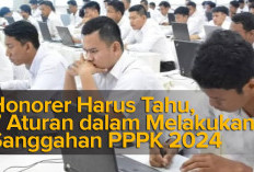 Honorer Harus Tahu, 7 Aturan dalam Melakukan Sanggahan PPPK 2024 