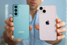 Harga Makin Variatif, iPhone vs Android 2026, Kenapa Banyak Orang Masih Setia ke Apple?