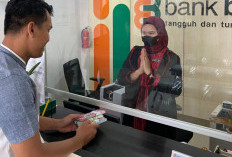 Awal 2025, KUR Bank Bengkulu  Sudah Segini Besarnnya