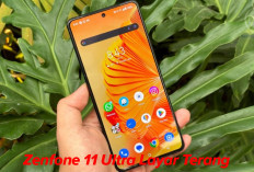 Zenfone 11 Ultra Layar Terang Seperti Matahari, Warna Akurat Layaknya Studio Profesional!