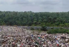 Pengolahan Sampah Peluang Investasi Besar, Kebutuhan Sampah di Bengkulu Selatan Bikin Terkejut!