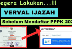 Khusus Pelamar PPPK Tahap Kedua! Begini Cara Verzal Ijazah di Kemendikbud