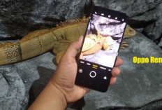 Rahasia Dibalik Kamera Oppo Reno 3 yang Bikin Foto Selfie Kamu Makin Kece