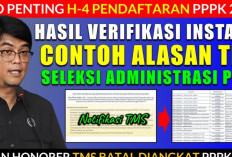 SIMAK! Contoh Alasan Sanggah untuk Honorer TMS Pada Seleksi PPPK 2024