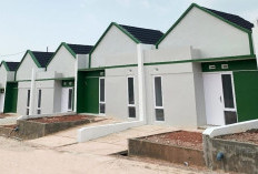 Dorong Akses Hunian Terjangkau, BRI Salurkan KPR Subsidi Rp17,13 Triliun