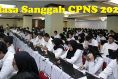 Proses Seleksi CPNS 2024 Hampir Memasuki Masa Sanggah, 3 yang Tidak Bisa Disanggah