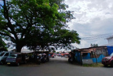 Kumuh dan Semrawut, Pasar Ampera Dapat Warning Keras dari Bupati Bengkulu Selatan