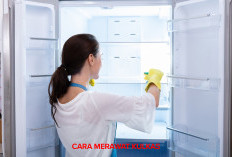 Merawat Kulkas Agar Tetap Awet dan   Optimal Mudah, Begini Lho Caranya!
