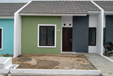 Jangan Salah, Begini Strategi Tepat dalam Membeli Rumah Subsidi Agar Tak Kena Tipu