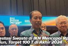 Investasi Swasta di IKN Mencapai Rp 58 Triliun, Target 100 T di Akhir 2024