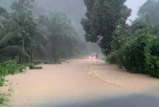 BREAKING NEWS!! 5 Jam Diguyur Hujan Kawasan Tebing Kucing Terendam Banjir
