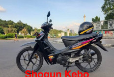 Shogun Kebo Berhasil Capai Kejayaan, Ternyata Ini Loh 7 Tipe Suzuki Shogun yang Pernah Ada di Indonesia