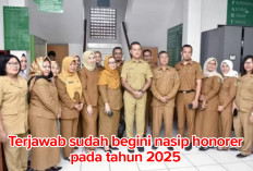 Nasib Tenaga Honorer Tahun 2025   Terjawab Sudah, Ini Penjelasannya