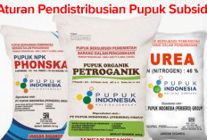 Seluruh Agen Pupuk Subsidi Akan Gigit Jari, Pangkas Birokrasi Penyaluran Pupuk Subsidi