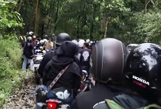 Arus Mobilitas Kendaraan dari Kaur Tujuan Lampung Mulai Meningkat, Cek Sebabnya!