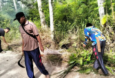 Antisipasi Keselamatan, Warga Trijaya   Lakukan Tebas Bayang Swadaya