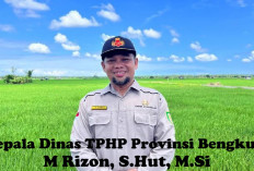 Cara Pemupukan Sawit Yang Benar, Ini Petunjuk Dinas TPHP Bengkulu