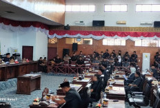 Paripurna, DPRD Kaur Soroti Perda Tenak  Hewan Mandul, Apa Langkah Sapol PP?