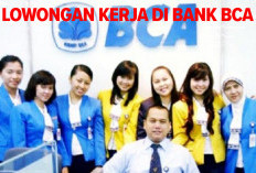 Lowongan Kerja di BCA Untuk Management Trainee, Semua Jurusan Boleh Daftar, Cek Persyaratannya!