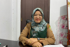 Pemprov Bengkulu Dorong Urban Farming untuk Perkuat Ketahanan Pangan di Perkotaan 