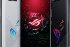 Rajai Pasar Global, Berikut Harga Terbaru Handphone Asus November 2025