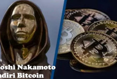 Identitas Satoshi Nakamoto Terungkap, Peter Todd Dituduh Sebagai Pencipta Bitcoin