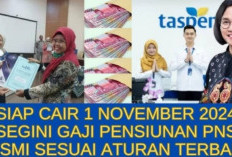 Gaji Pensiunan PNS Cair 1 November 2024, Ini Nominalnya Berdasarkan Golongan Masing-masing