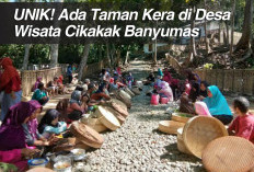 UNIK! Ada Taman Kera di Desa Wisata Cikakak Banyumas