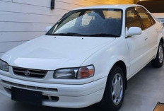 Ini Rahasia Toyota Corolla Hingga Sekarang Masih Jadi Idola Menarik Sebagian Orang