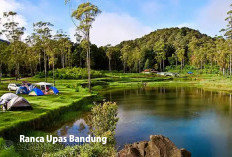 Wisata Ranca Upas Bandung Siapkan Kuda Buat Keliling, Berikut Keunggulan yang Ditonjolkan!