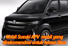 Suzuki APV 2204 Mobil Irit dan Murah, Sangat Direkom untuk Menemani Libur Nataru