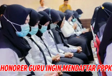 Jangan Sampai Salah, Honorer Guru Ingin Mendaftar PPPK 2024 Wajib Mengtahui 4  Kategori Ini 