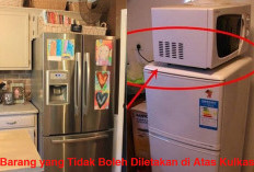 PENTING DIKETAHUI! 7 Barang yang Tidak Boleh Diletakan di Atas Kulkas