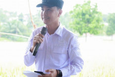 Bupati Rejang Lebong Muhammad Fikri Thobari Kena OTT KPK, Ini Profil Lengkapnya!