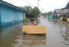 Hujan Semalaman, 3 Wilayah di Bengkulu Alami Bencana Banjir Hingga Mati Lampu