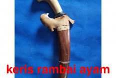 Senjata Tradisional Bengkulu, Keris Rambai Ayam: Simbol Keberanian dan Kehormatan