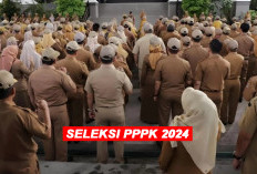 HONORER HARUS TAHU! Berikut Ketentuan untuk Mengikuti Seleksi PPPK 2024