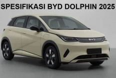 Mobil Cina Terbaik di Kelasnya! Intip Spesifikasi BYD Dolphin 2025