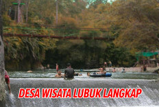 Menikmati Keindahan Desa Wisata Lubuk Langkap, Ini Asal Usulnya, Kini Pohon Langkap Sudah Langka