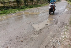 Jalan Provinsi Rusak di Talang  Tais Belum Mendapat Perhatian