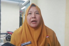 Pemprov Bengkulu Percepat Distribusi Benih, Begini Penjelasan Kadis TPHP Bengkulu