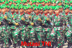 Mutasi TNI 2025: Jabat Danrem 092 Maharajalila, Ini Dia Profil Brigjen TNI Mohammad Sjahroni!