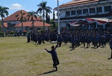 Sudah Mengajar Bulanan, Guru PPPK Paruh Waktu Bengkulu Selatan Belum Terima Gaji, Ini Jadwal Cairnya