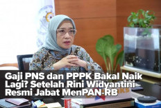 Gaji PNS dan PPPK Bakal Naik Lagi? Setelah Rini Widyantini Resmi Jabat MenPAN-RB 