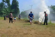 Sambut HUT RI Ke-79, Desa Air Batang Goro Kebersihan